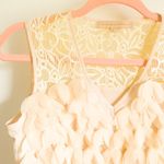 Anthropologie  Champagne & Strawberry cream Petal Pop appliqué mini shift dress Photo 7