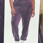 Lazypants Womens Heavyweight High Rise Velour Joggers NWT Purple Size L Photo 4