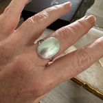Natural Nautilus Sea Shell Sterling Silver Ring Size 10.5 Photo 6