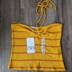 ZARA Mustard and Rust Striped Crop Top Nwt Sz M Photo 0