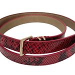 Talbots  Red & Black Snakeskin Print Belt with Gold Adjustable Buckle Photo 0