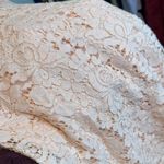 Francesca's NWT Delicate Pink Lace dress with gold trimming Size L Photo 1