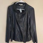 NWT Kingston Grey Black Moto Jacket L Size L Photo 0