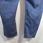 American Eagle Blue Stretch Tomgirl Button Fly Jeans Long Size 20 L Photo 7