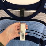 Investments NEW NWT Plus Size Blue Light Blue Black Striped Crew Neck Sweater 1X Photo 4