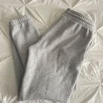 Aritzia Aritiza Gray Joggers  Photo 0