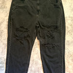 American Eagle  Outfitters AE Plus‎ Size 24 Ripped Distressed High Rise Mom Jean Photo 0