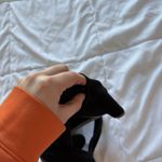 Champion Intimates Cotton Blend Womes Sports Bra Black Padded Racerback Yoga Gym Photo 4