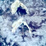 Vintage glamour clip on crystal earrings Photo 3