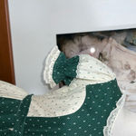 Charming Vintage 1970s Kate Schorer Squaredance Dress! Green Size 8 Photo 5