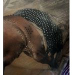 Rhinestone Horse T Photo 12