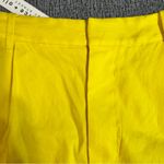 Alice + Olivia Conry Pleated Linen Blend Shorts Photo 7