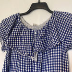 Umgee Blue and White Checkered Picnic Button Down Dress Photo 2
