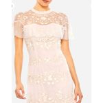 Mac Duggal Floral Embroidered Sheer Mesh Dress Blush 12 Photo 2