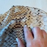 Violet+Claire  women's blouse reptile print size medium‎ 100% polyester Photo 10