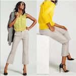 CAbi Pants SZ 6 #5316 Stripe Tick Tock Crop Business Work Office Cotton Stretch Photo 1