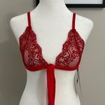 Nasty Gal NWT Bralette Photo 0