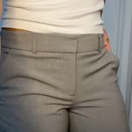 Tahari Gray Work Pants Photo 0