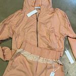 Young Fabulous and Broke Young Fabulous & Broke Crop Hoodie +Jogger set C24 Photo 6