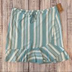 Patagonia Blue and White Striped Skirt Photo 2