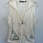 Jason Maxwell Christmas Vest Photo 0