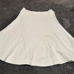 A.L.C. Lady Gaga Wears Beautiful 2013 White Skirt ( S )  Photo 1