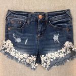 No Boundaries Denim Shorts Photo 0