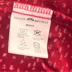 Brandy Melville  Colleen Red Floral Babydoll dress Photo 9