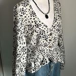 Nasty Gal Deep V-Neck Leopard Print Button Up Long Sleeve Semi-Sheer Blouse Photo 1