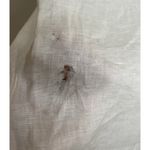 Ralph Lauren  LRL 2X Womens Pearl Linen Tunic Sheer Blouse Cover‎ Up NEW READ Photo 2