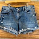 Silver Jeans  Co. Boyfriend Jean Shorts Photo 0