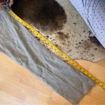 Alice + Olivia  Gray Wool Blend Trouser‎ Pants Size 4 Photo 4