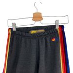 Aviator Nation  Classic Sweatpants Velvet Stripes Jogger Gray Black‎ Size Small Photo 3