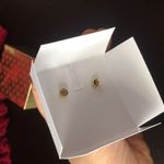 Michael Kors earrings Stu in gold in gift box Photo 3