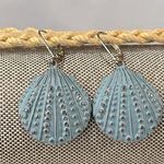 Seashell Earrings Distressed Aqua/Silver Photo 0