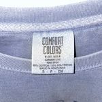 Comfort Colors Seaside Crewneck Photo 2