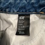H&M X Coachella Distressed Tribal Fringe Shorts Photo 10