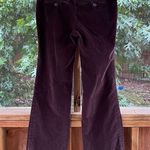 Anthropologie  Tulle Women's Brown Corduroy Flare Leg Pants Size 8 Photo 1