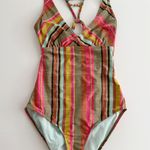 prAna [] Multi-Color Fergusen Cacti Soleil Stripe One-Piece Swimsuit Sz Medium M Photo 3