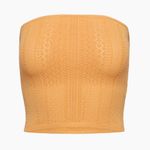 Aritzia Little Moon Balmy Tube Top Photo 3