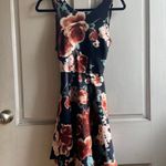 Dry Goods Skater dress Photo 6