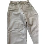 Abercrombie & Fitch Curve Love 90’s Straight Leather Pants Oyster Grey Size 27 Photo 8
