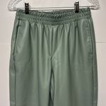 Fabletics  Dusty Garden Green Faux Leather High-Waisted Pull On Trousers Pants Photo 5