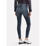 frame denim  • Le High Skinny Jeans Magellan Destroyed Details Photo 1