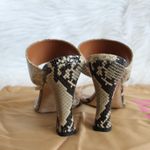 Paris Texas Python Snake Photo 6