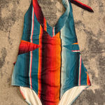 Crazy Train  Multicolor Striped Swimsuit Photo 0