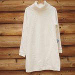 Eliza J NWT  Cable Knit Sweater Dress Photo 1