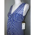 Donna Ricco NEW! 100% Silk Ruffled Dress Blue White Women’s 6P Photo 1