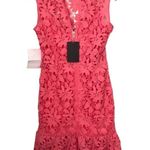 Paper Dolls Paper Doll High Neck Peplum Lace Dress, New with Tag Photo 3