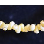 Source Unknown VTG Vacation Island Fun Single Strand Shell Beads Mother OF Pearl 32" Necklace Photo 2